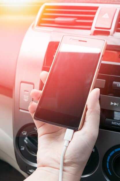 Factores a considerar al elegir un cargador de coche