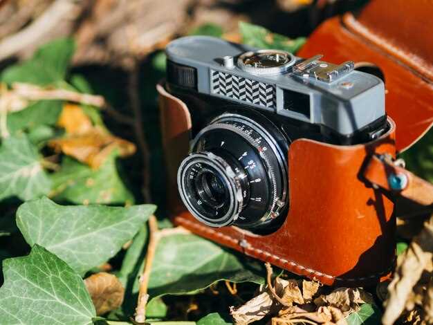 Los 5 mejores compactos del año