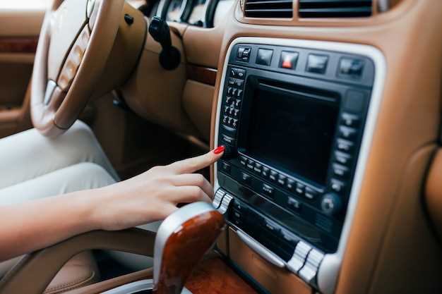 Sistemas de audio recomendados para coche